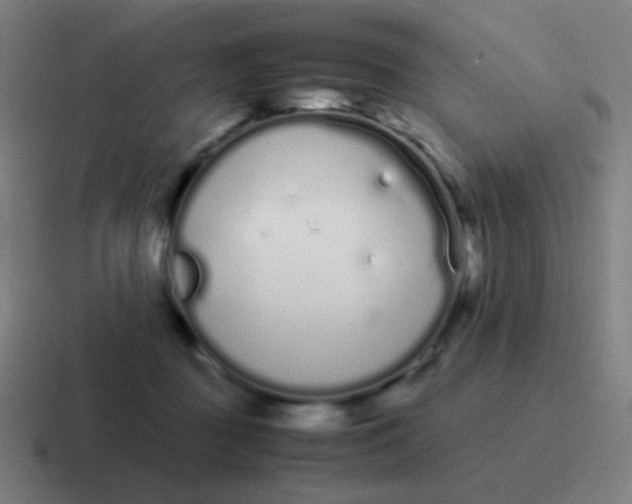 X0000116840363200912312059