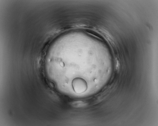 X0000116840365200912312059