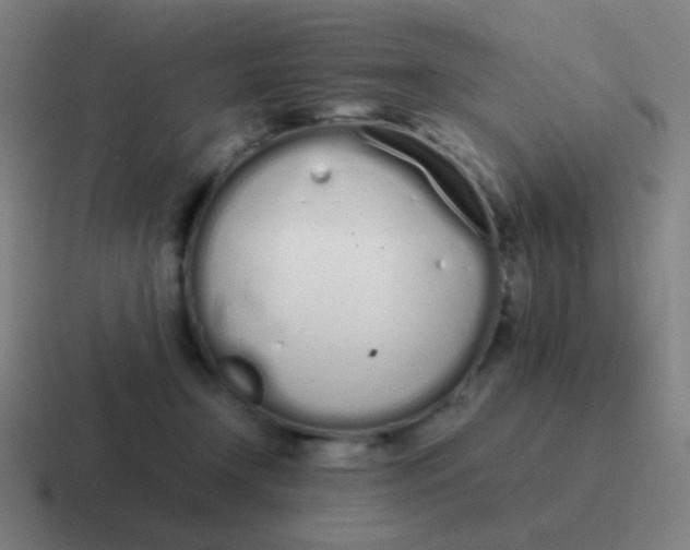 X0000116840366200912312059