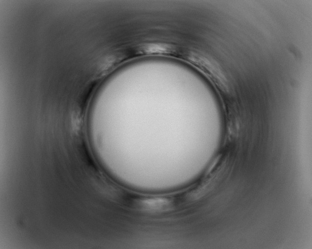 X0000116840367200912312059