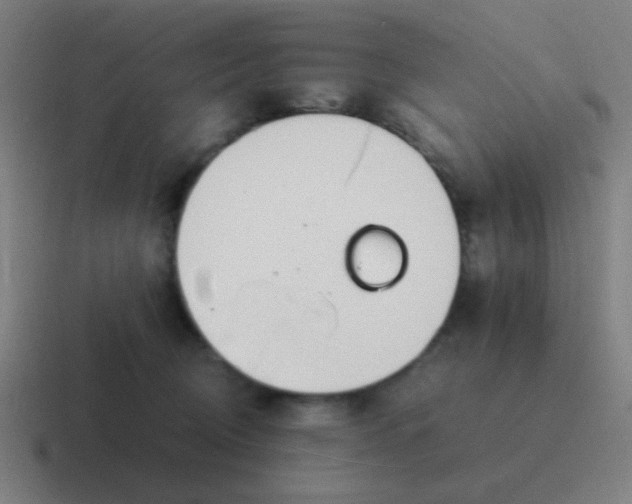 X0000116840370200912312059