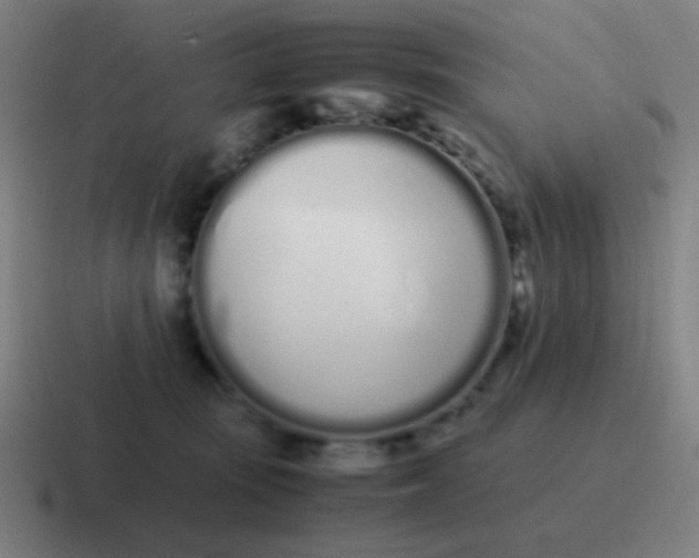 X0000116840371200912312059