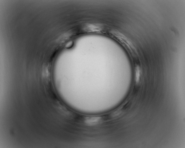 X0000116840373200912312059