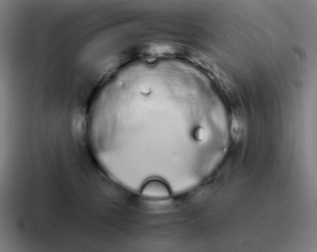 X0000116840375200912312059