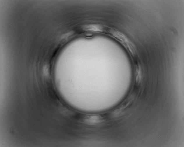 X0000116840377200912312059