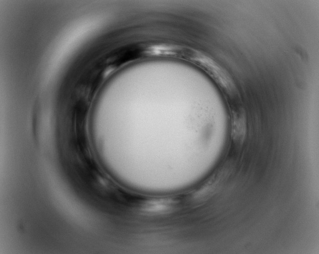 X0000116840381200912312059