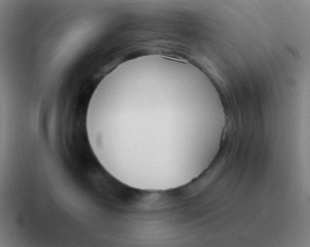 X0000116840382200912312059