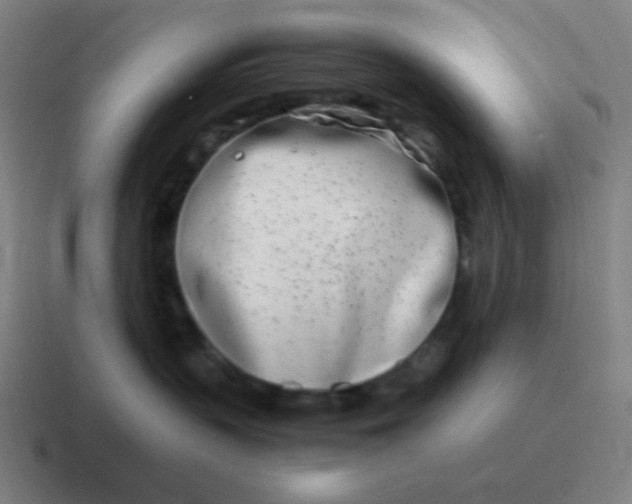 X0000116840383200912312059