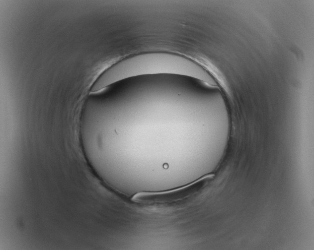 X0000116840385200912312059