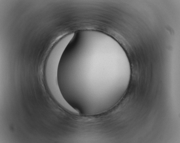 X0000116840386200912312059