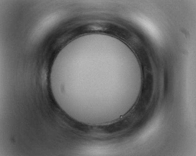 X0000116840387200912312059