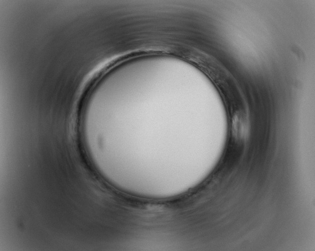 X0000116840388200912312059