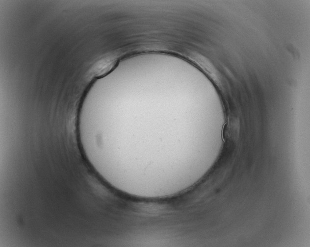 X0000116840389200912312059