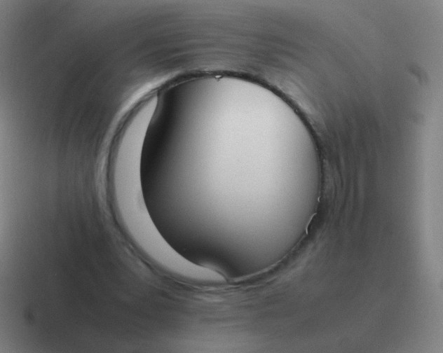 X0000116840391200912312059