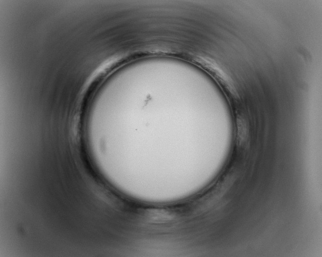 X0000116840392200912312059