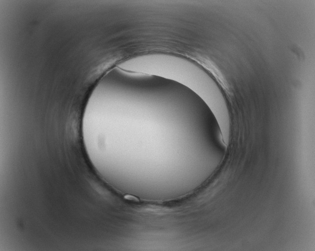 X0000116840393200912312059