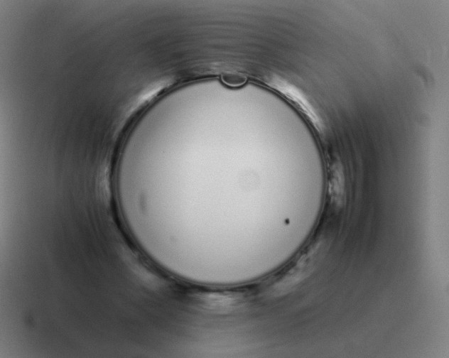 X0000116840394200912312059