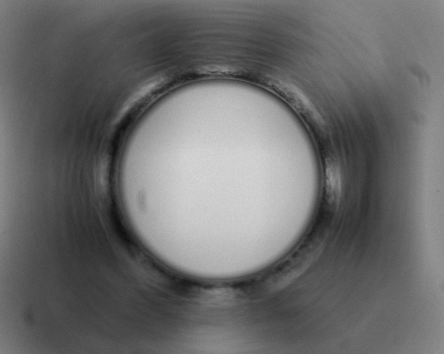 X0000116840396200912312059