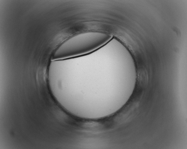 X0000116840397200912312059