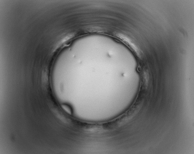 X0000116840398200912312059