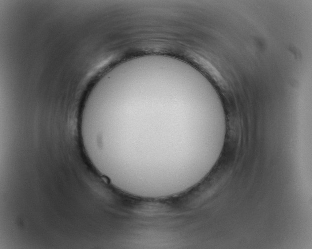 X0000116840399200912312059