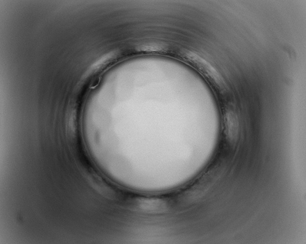 X0000116840400200912312059