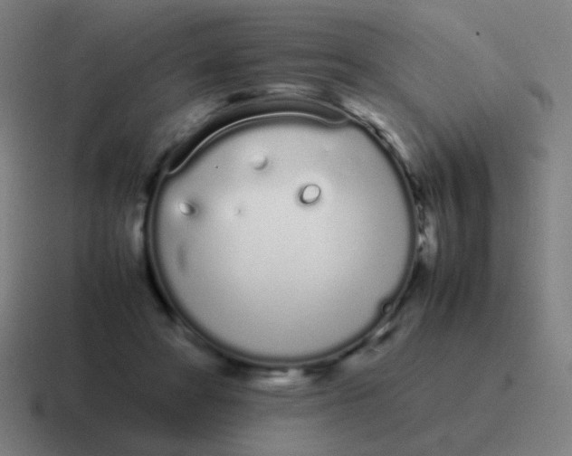 X0000116840402200912312059