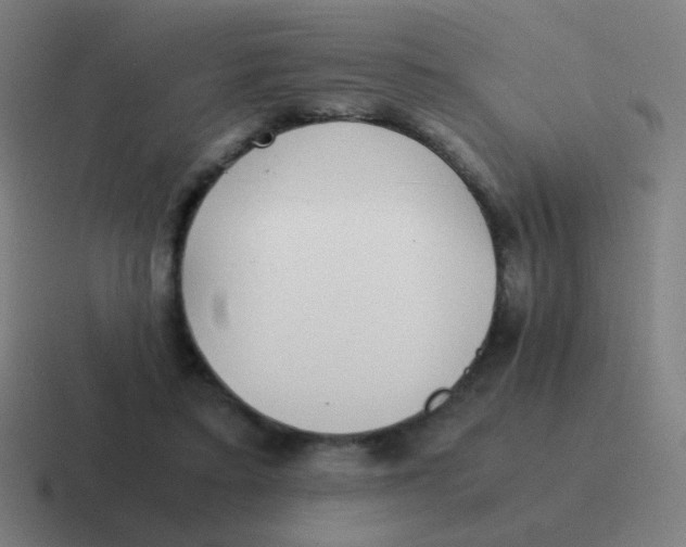 X0000116840403200912312059