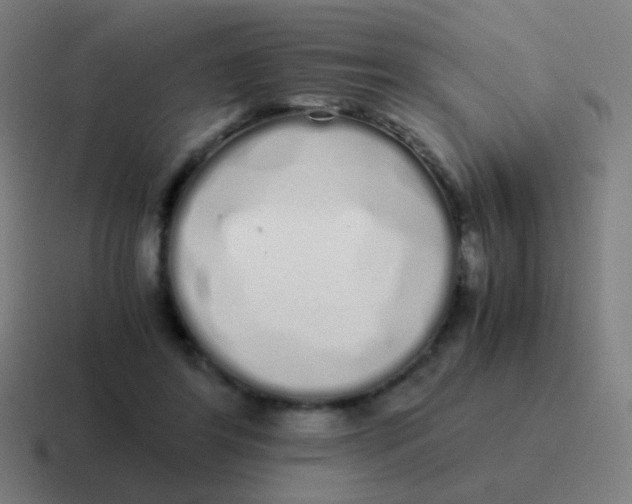 X0000116840404200912312059