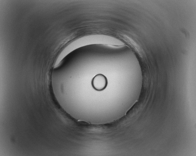 X0000116840405200912312059