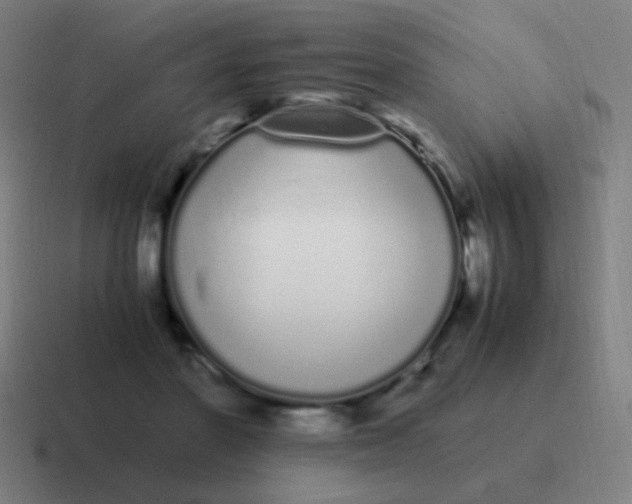 X0000116840406200912312058