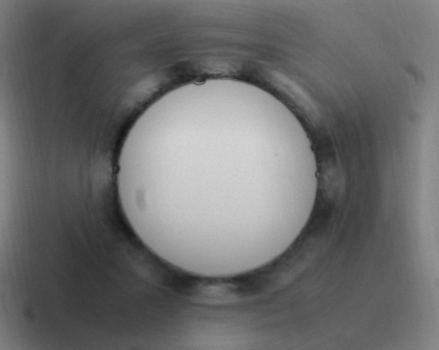 X0000116840407200912312058