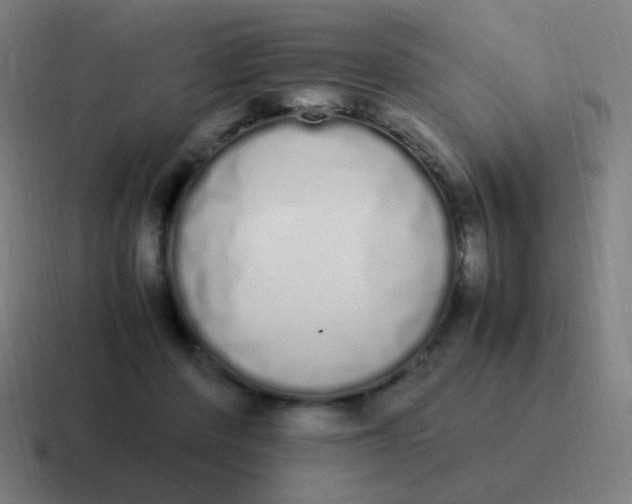 X0000116840408200912312058