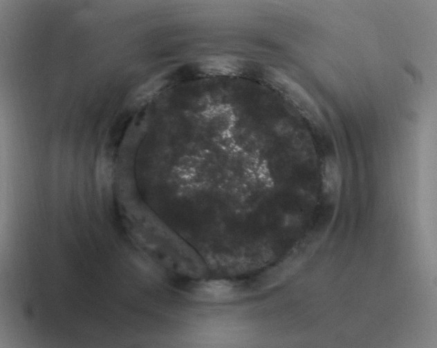 X0000116840409200912312058