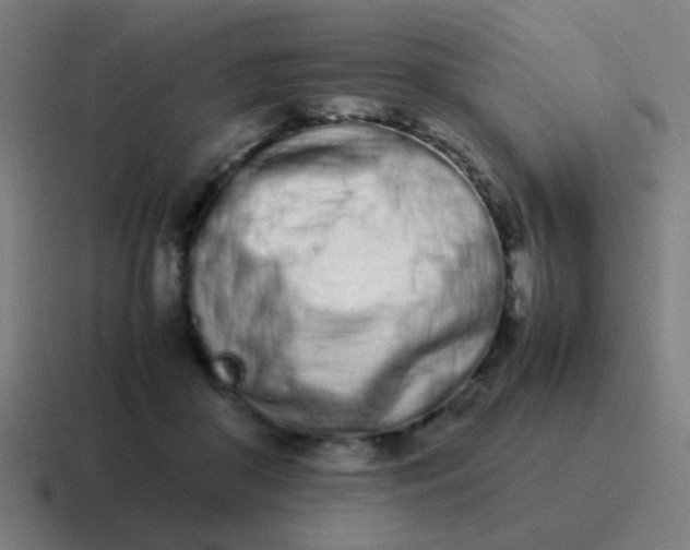 X0000116840410200912312058