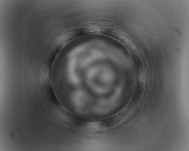 X0000116840411200912312058