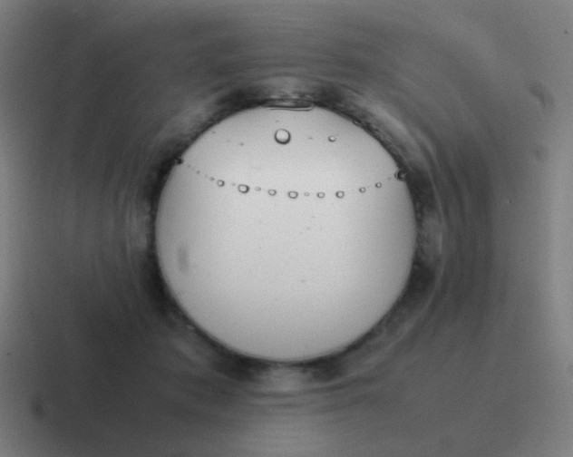 X0000116840413200912312058