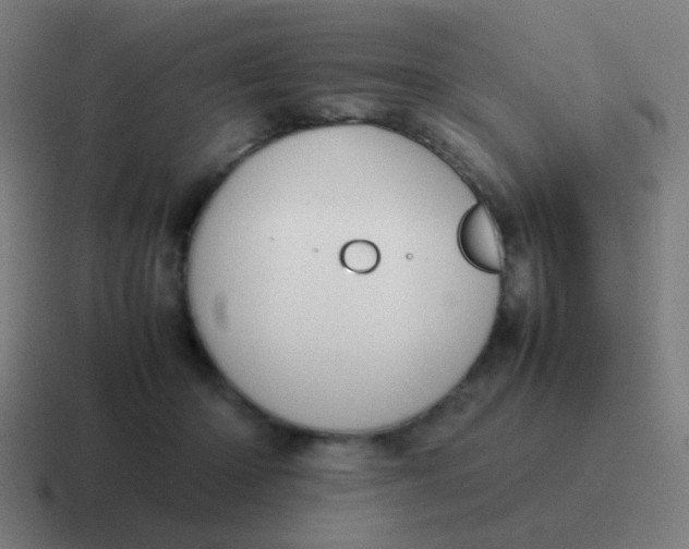 X0000116840414200912312058