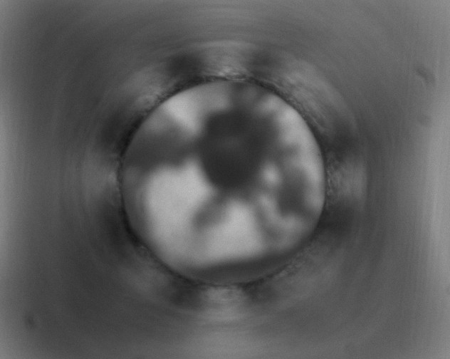 X0000116840415200912312058