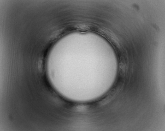 X0000116840416200912312058