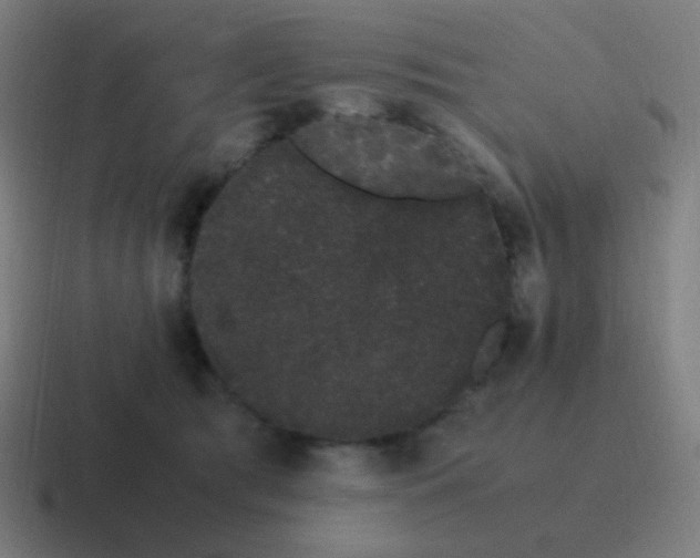 X0000116840417200912312058