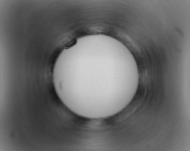 X0000116840418200912312058