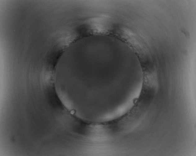 X0000116840419200912312058