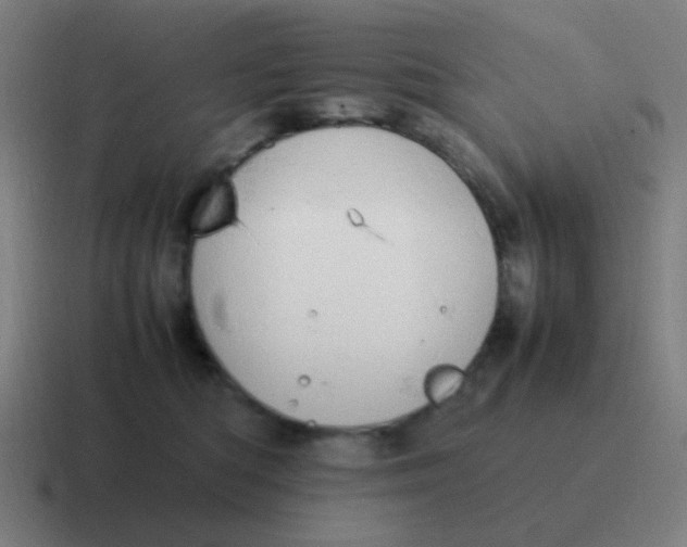 X0000116840422200912312058