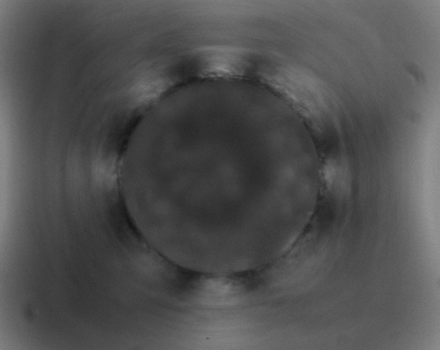 X0000116840423200912312058