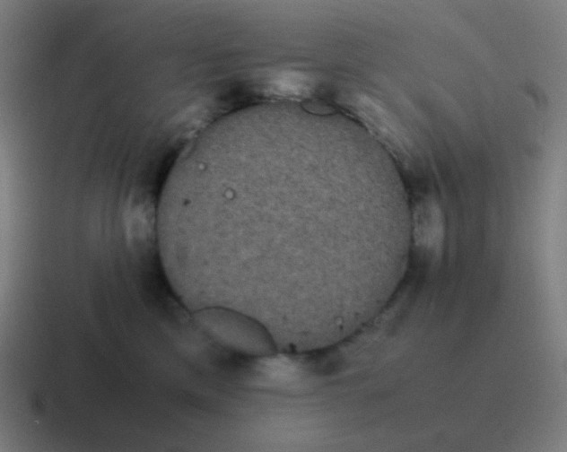 X0000116840425200912312058