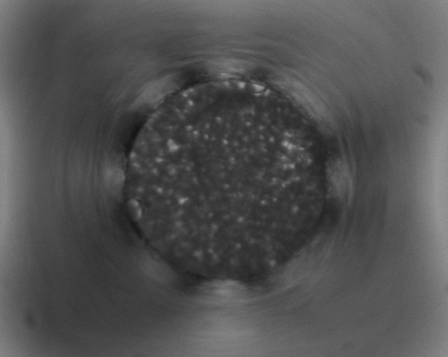 X0000116840427200912312058