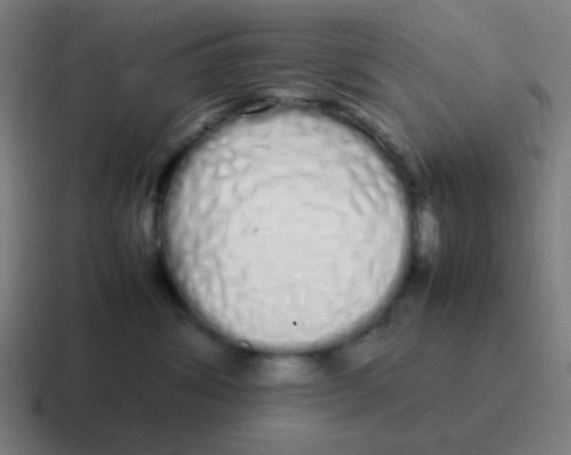 X0000116840428200912312058