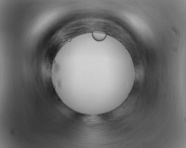 X0000116840431200912312058