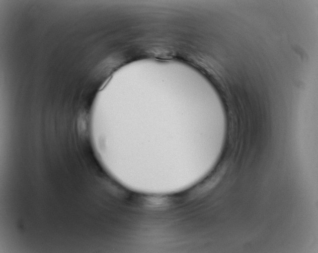 X0000116840432200912312058